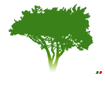 альбери логотип